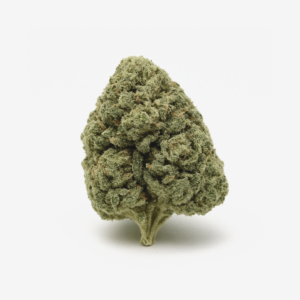 Luana 20/1 STAR – Starhaze OG