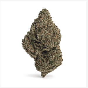 HiDealz 24/1 MS PAB Papaya Bomb smalls