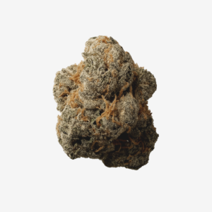Tetra THC25 Mac 3